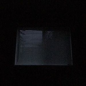 Meet your Posher, Bella